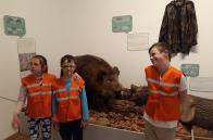 Учні НРЦ  «Левеня» відвідали державний природознавчий музей