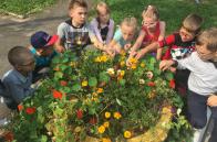 Учні НРЦ «Левеня» збирають насіння рослин та квітів!