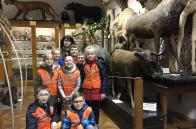 Учні НРЦ «Левеня» відвідали Зоологічний музей ЛНУ ім. І Франка